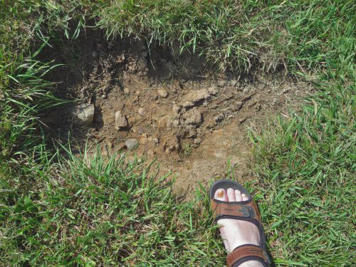 Watering hole made by deer.